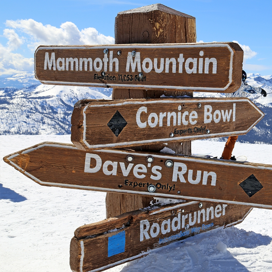 Several options for descending the mountain in addition to the gondola