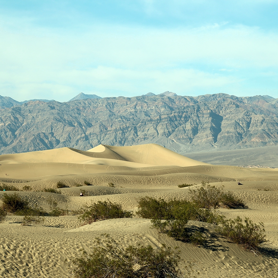 California&apos;s own Sahara: Mesquite Flat Dunes
