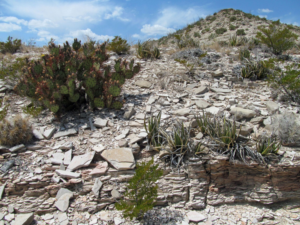 Shale peak