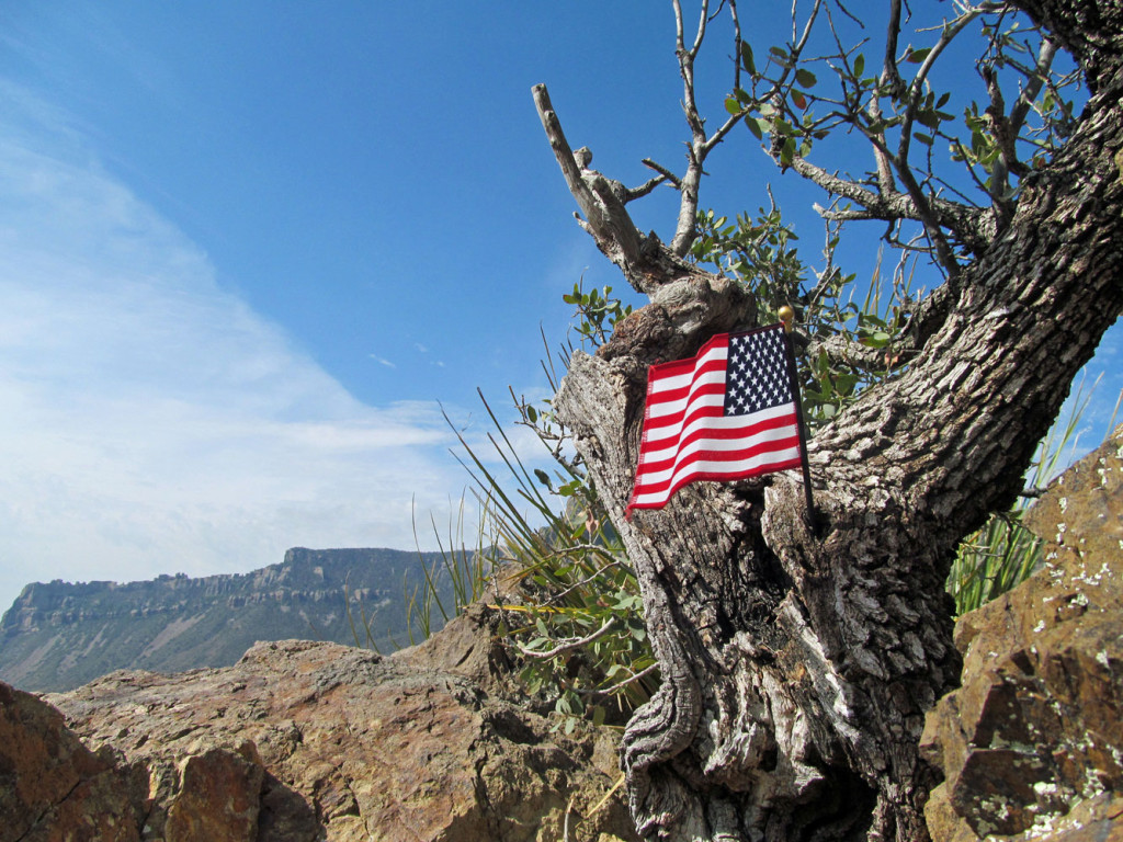 On the Lost Mine Trail