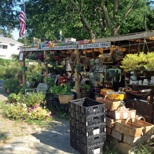 Massachusetts roadside produce stand