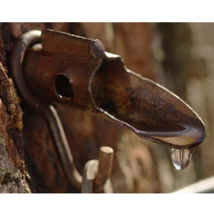 Katniss uses a spile to access drinking water. Click image for Pinterest credit.