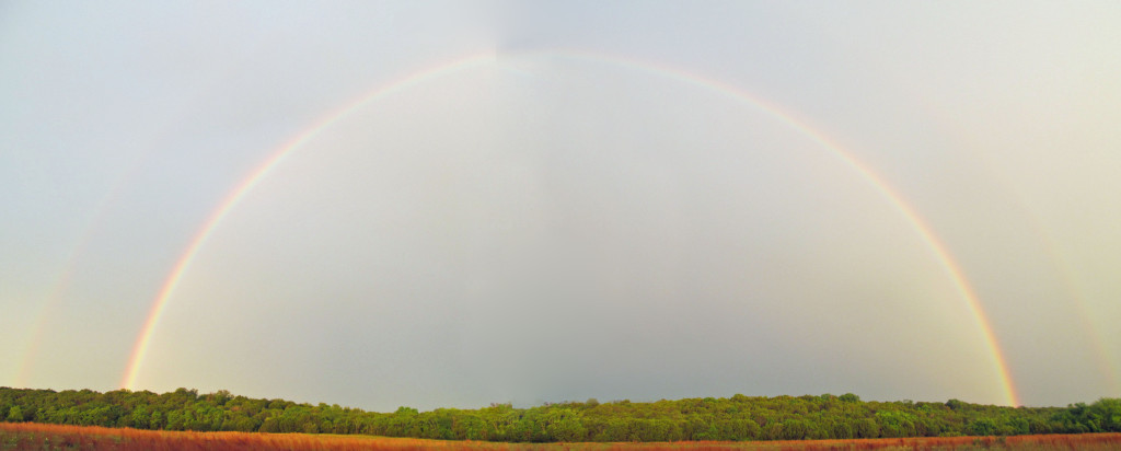 Double rainbow over equestrian field