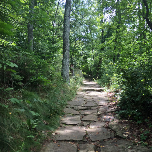 Hiking trails like Sunset Rock, pictured here, are plentiful around Chattanooga.