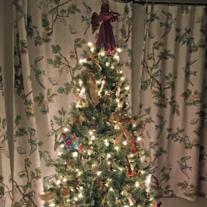 Family Christmas tree