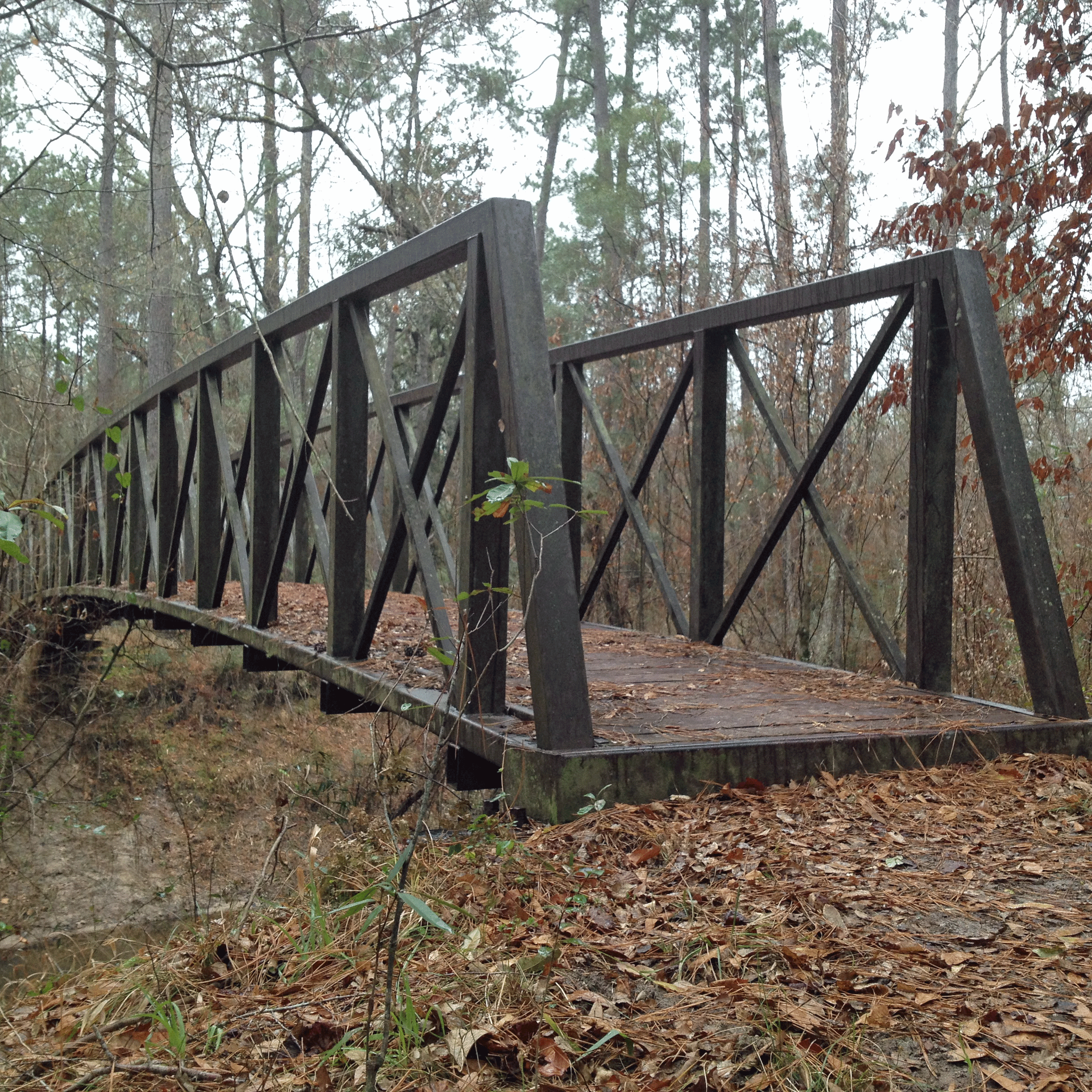 Much of the trail is muddy and damp, but this sturdy metal bridge provides dry passage for hikers