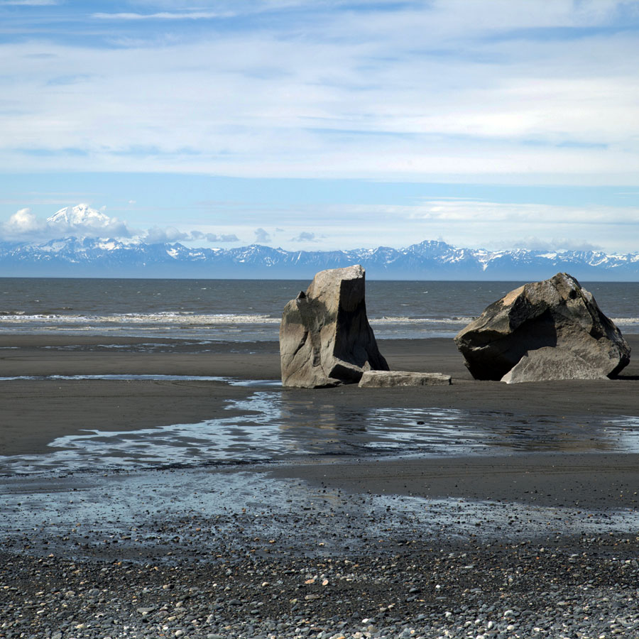One of the best places in the US to dig for razor clams