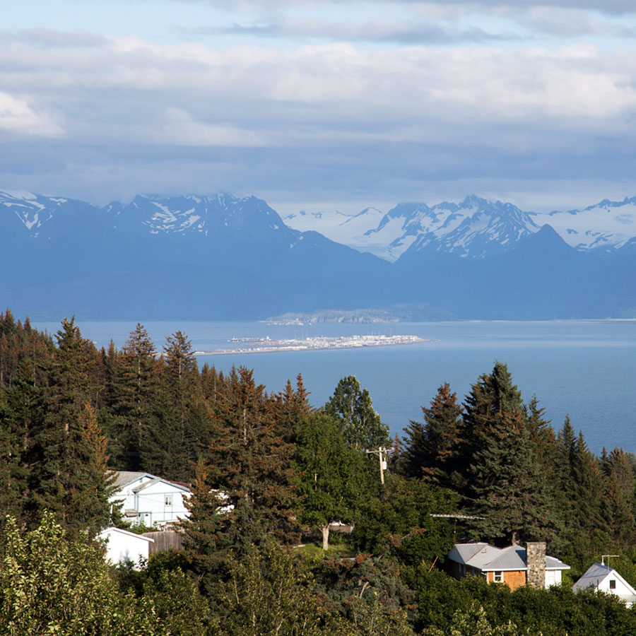 The bit of land stretching into the water in the distance is the Homer Spit