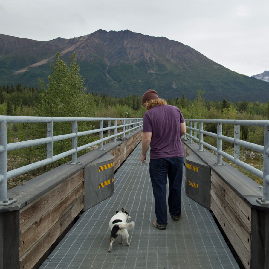 Dogs with little paws will become hilariously awkward on the bridge&apos;s grated metal